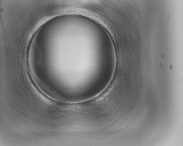 X0000073901525200608111117