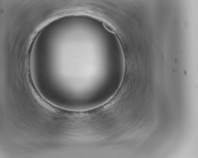 X0000073901526200608111117