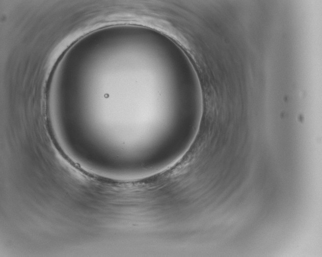 X0000073901527200608111117