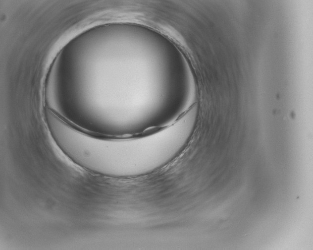 X0000073901528200608111117