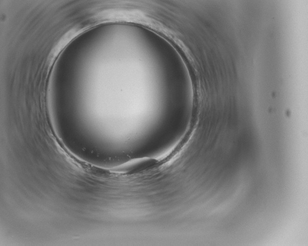 X0000073901529200608111117