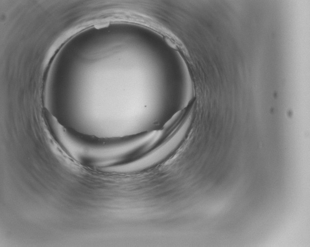 X0000073901530200608111117