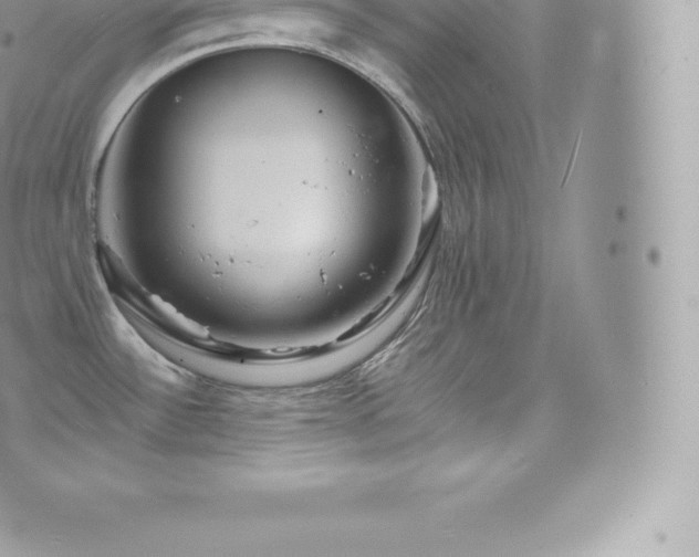 X0000073901532200608111117