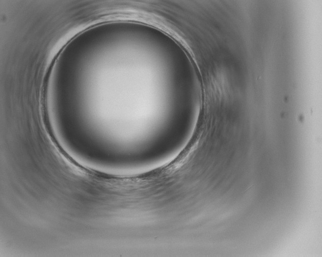 X0000073901533200608111117