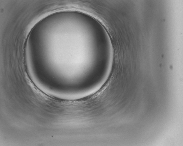 X0000073901534200608111117