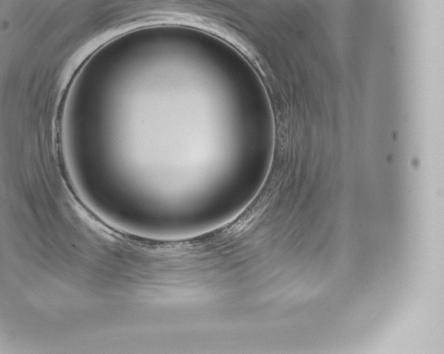 X0000073901535200608111117