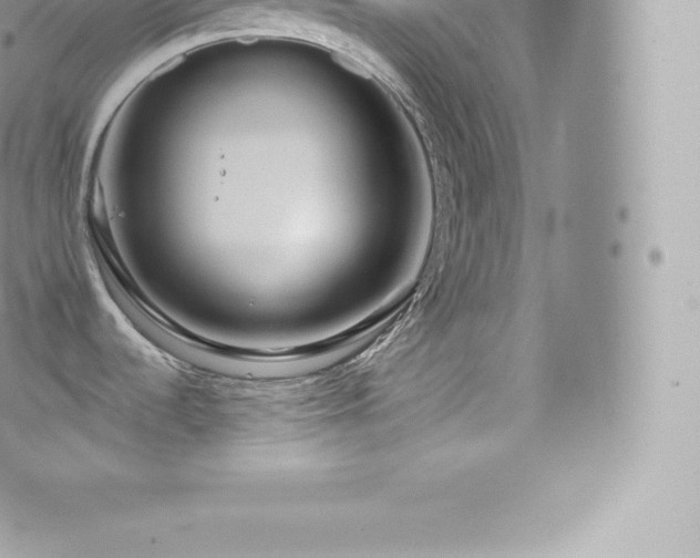 X0000073901536200608111117