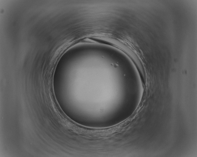 X0000073900001200608181010