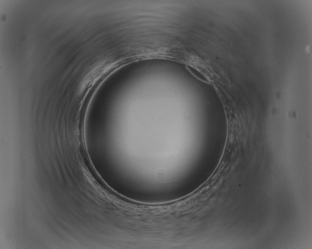 X0000073900002200608181010