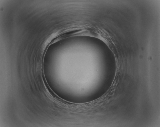 X0000073900003200608181010