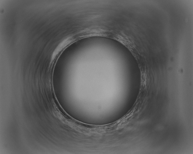 X0000073900004200608181010