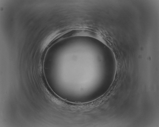 X0000073900005200608181010