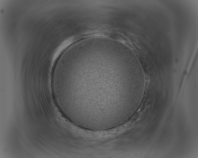 X0000073900006200608181010