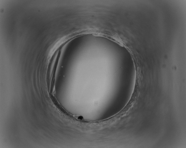 X0000073900007200608181010