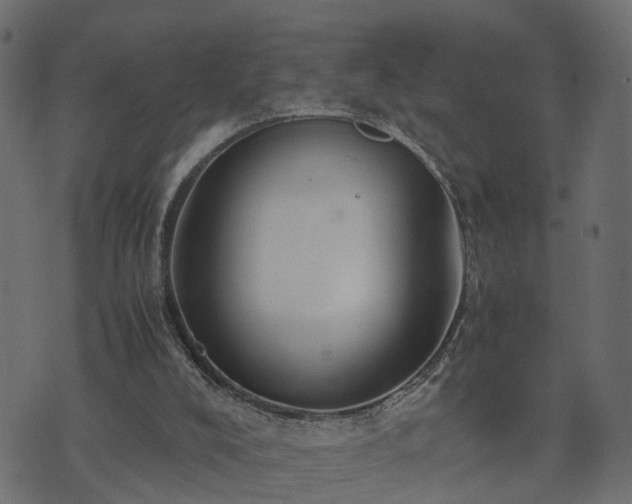 X0000073900008200608181010