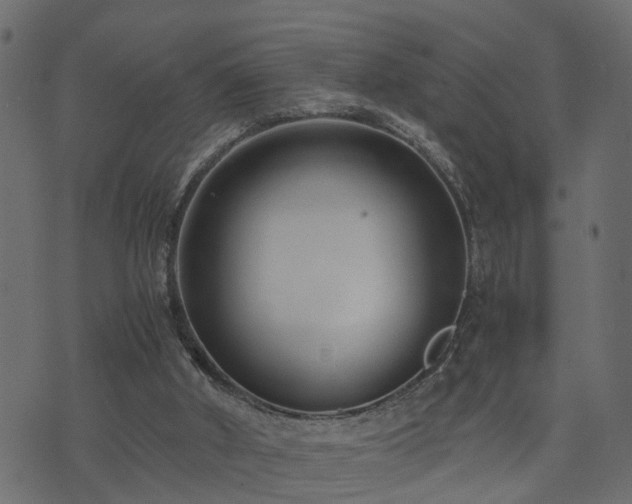 X0000073900010200608181010