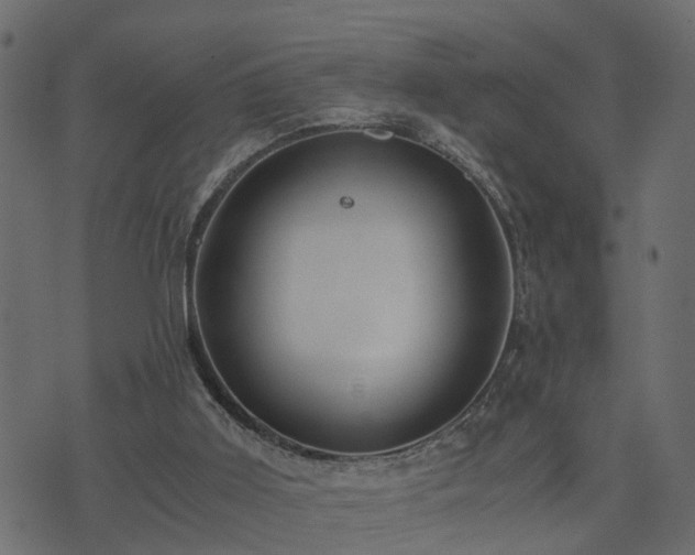 X0000073900011200608181010