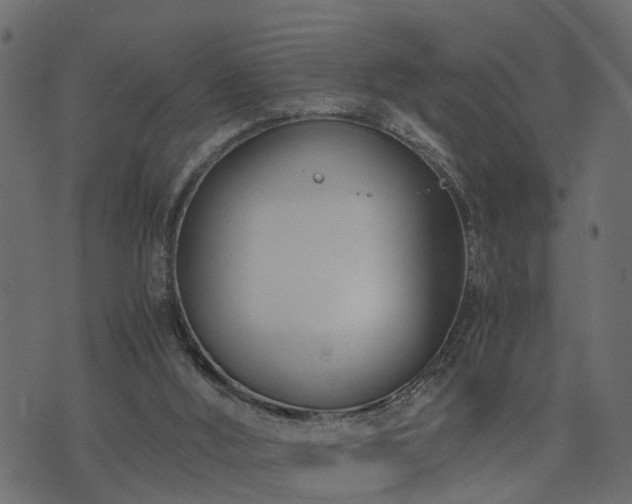 X0000073900012200608181010