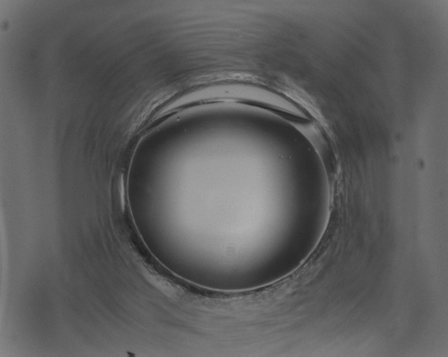 X0000073900013200608181010