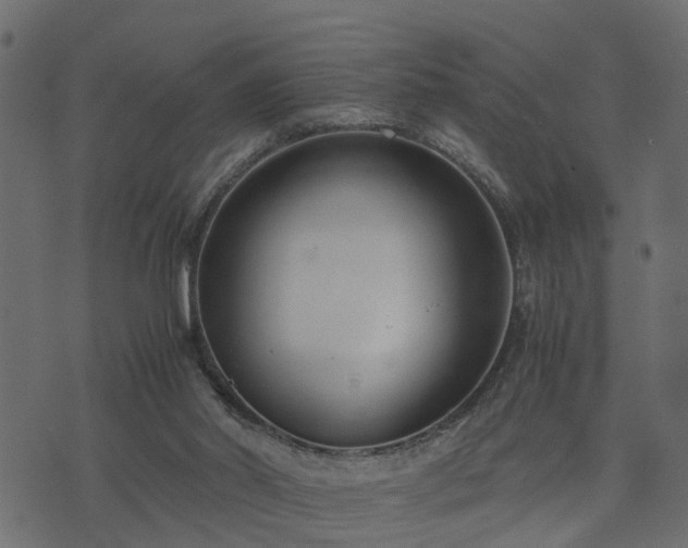 X0000073900014200608181010