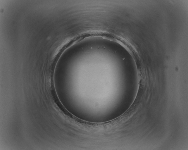 X0000073900015200608181010