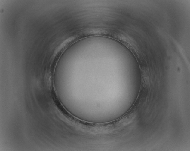 X0000073900016200608181010