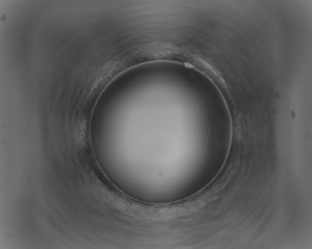 X0000073900018200608181010