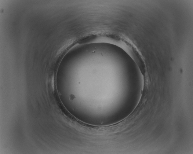 X0000073900019200608181010