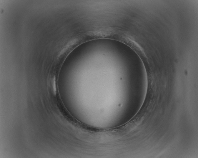 X0000073900020200608181010