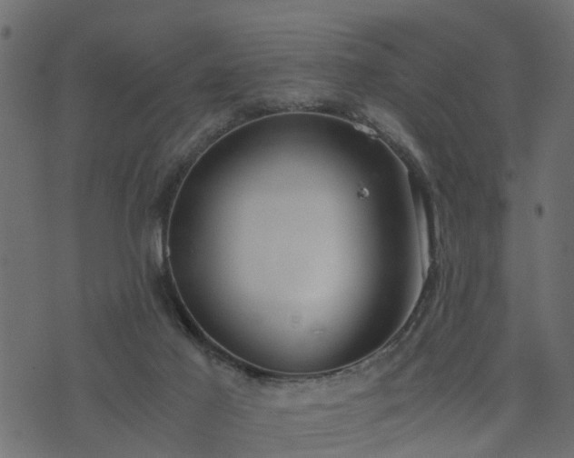 X0000073900021200608181010