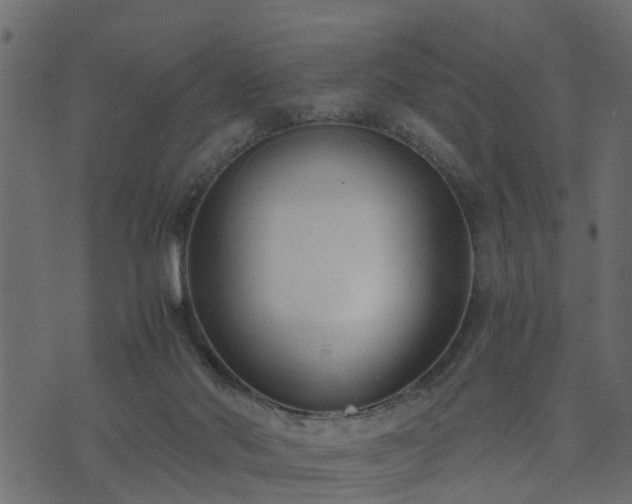 X0000073900022200608181010