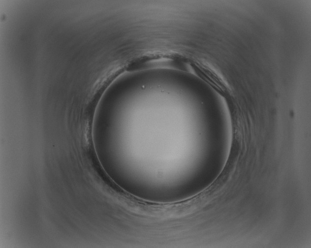 X0000073900023200608181010