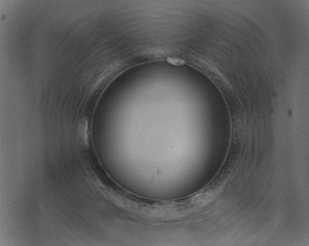 X0000073900024200608181010