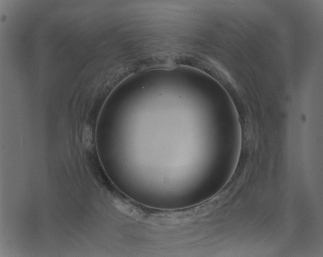 X0000073900025200608181010