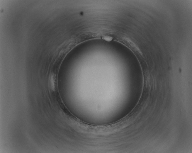 X0000073900026200608181010