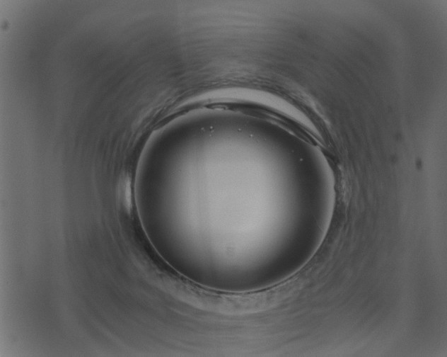 X0000073900027200608181010