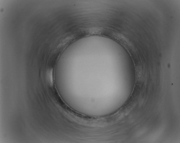 X0000073900028200608181010