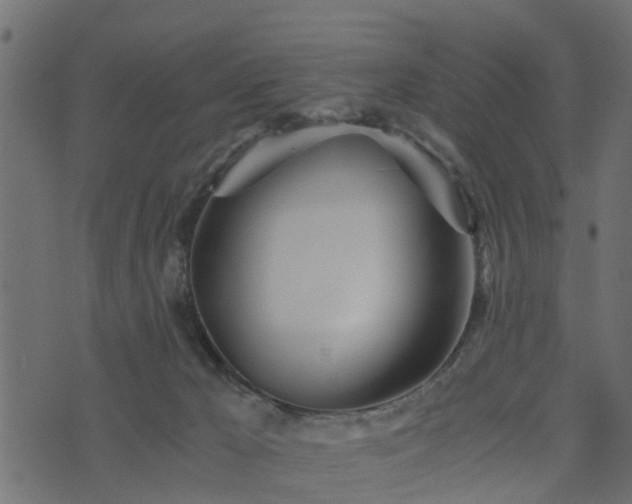 X0000073900029200608181010