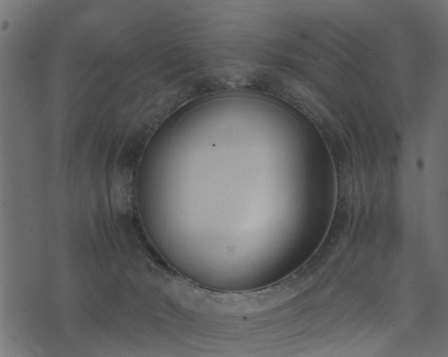 X0000073900030200608181010