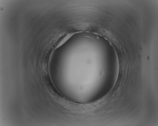 X0000073900031200608181010