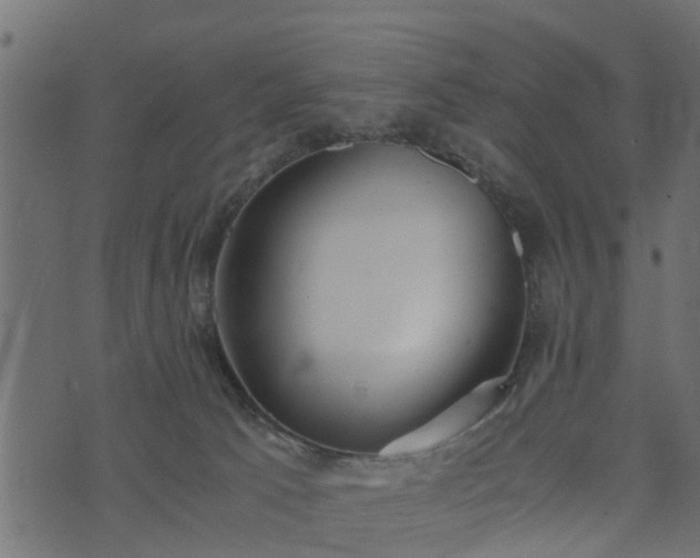 X0000073900033200608181010