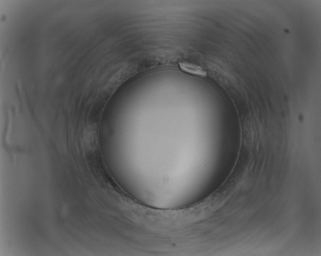 X0000073900034200608181010