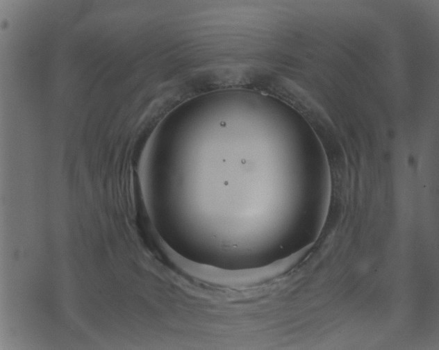 X0000073900035200608181010