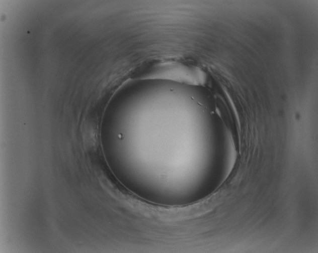 X0000073900039200608181010