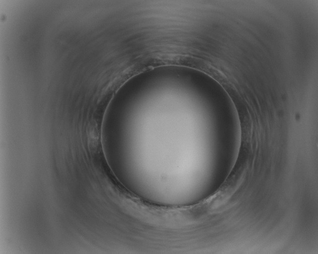 X0000073900040200608181010