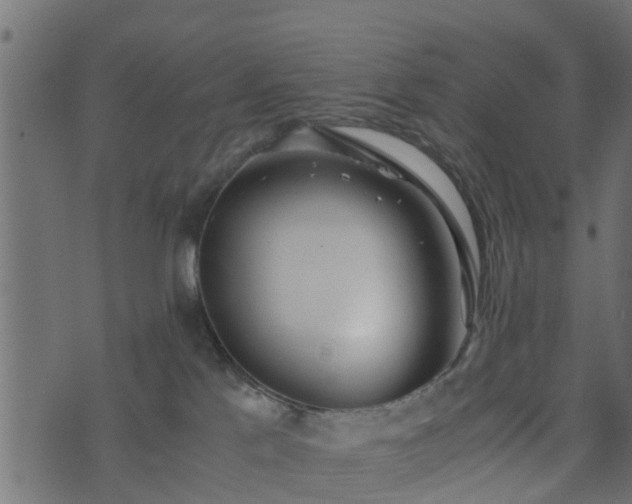 X0000073900041200608181010