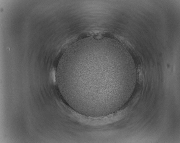 X0000073900042200608181010