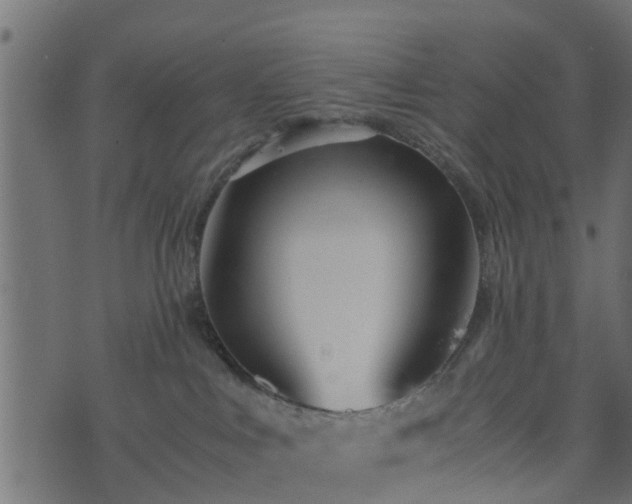 X0000073900043200608181010