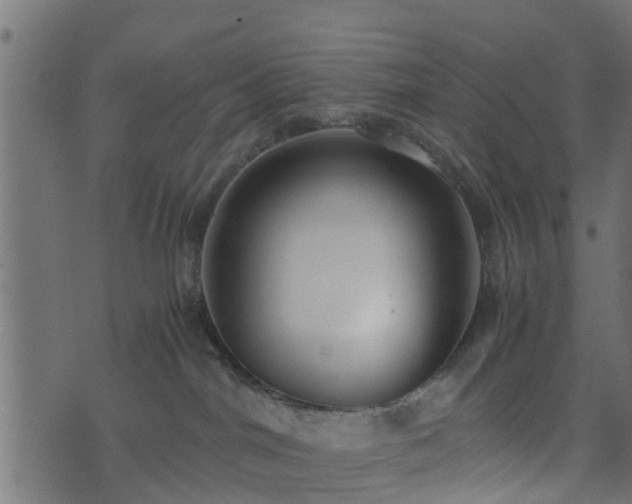 X0000073900044200608181010