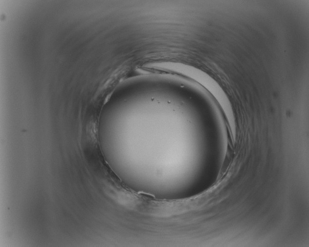 X0000073900045200608181010